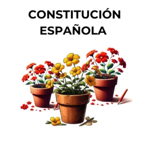 Constitución Española